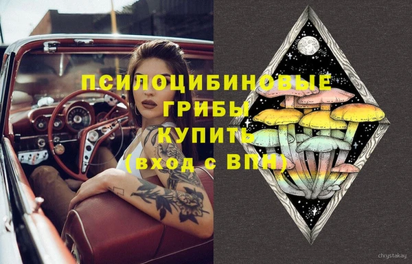 spice Волосово
